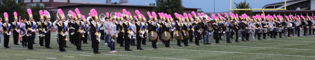 SHS Band with Pink Plumes